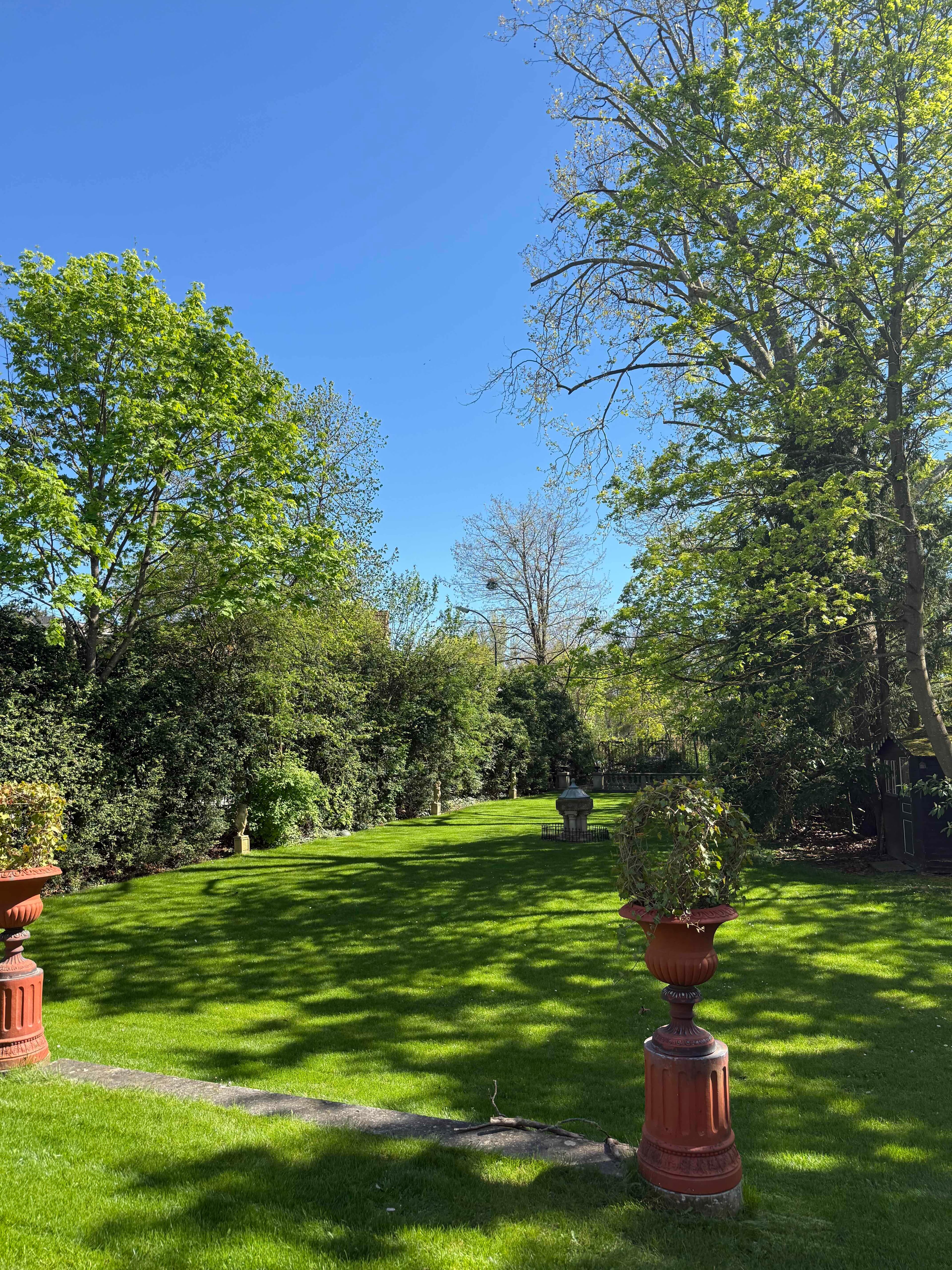 Gazon après rénovation Hanami