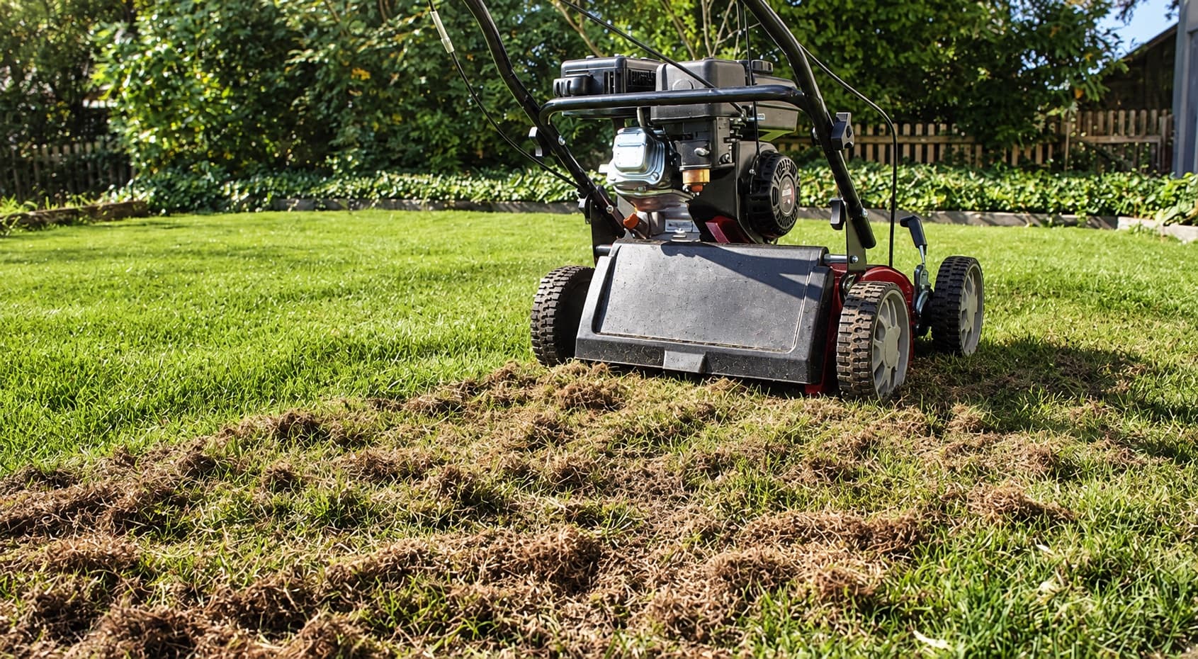 Pourquoi scarifier son gazon au printemps